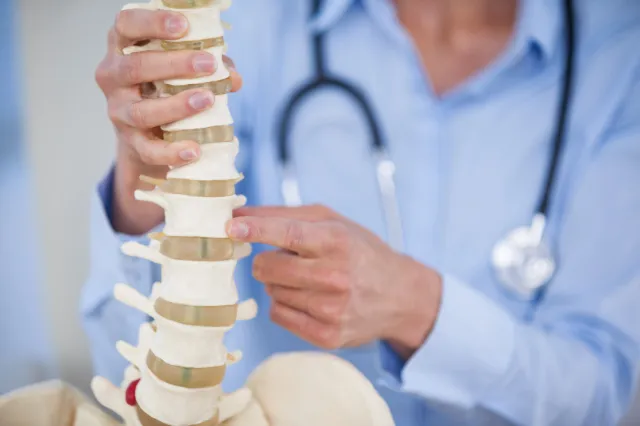 Full suite of chiropractic SEO services for clinics and multi-location practices